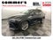2024 Lexus NX NX 350h Luxury